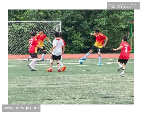 聚焦足球：南京足球队的灵活性话题